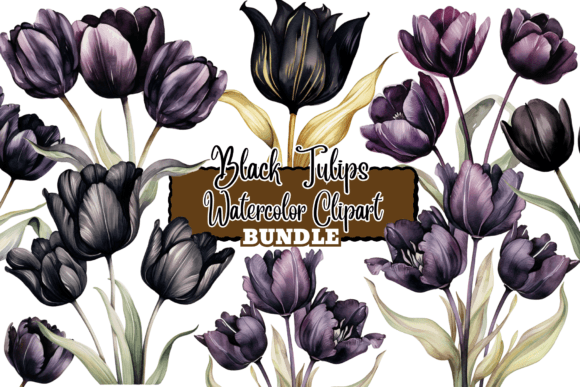 Black Tulips Watercolor Illustrations for Branding