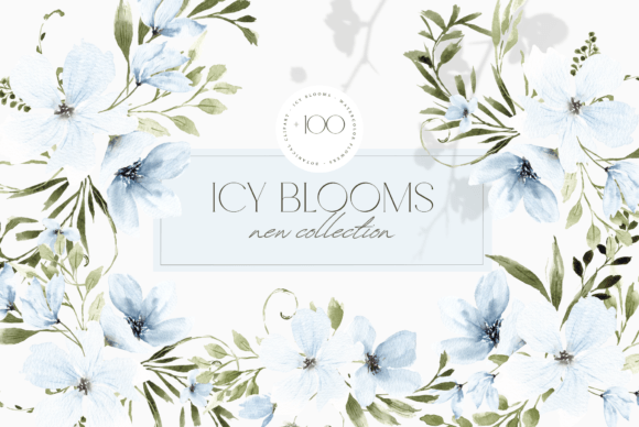 Blue Watercolor Winter Flowers Illustrations Review