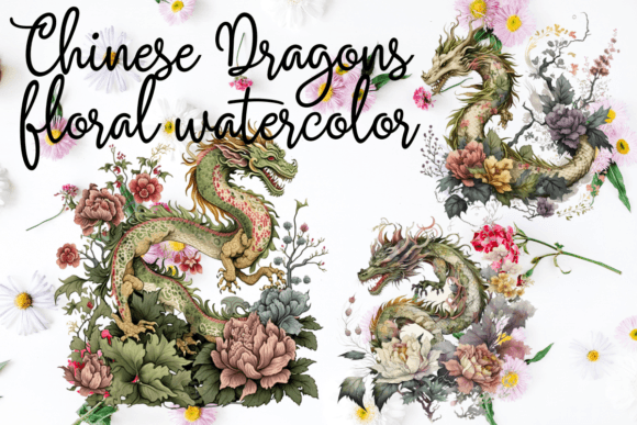Chinese Dragons Floral Watercolor Illustrations Review