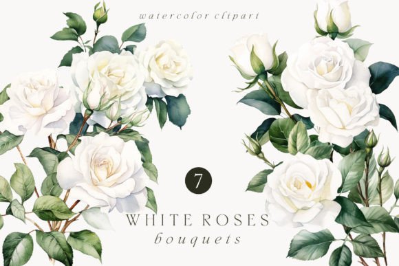 Elegant White Roses Bouquets Watercolor Clipart for Modern Brand Illustrations