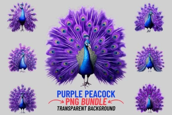 Purple Peacock Illustrations: A Designer’s Asset Review