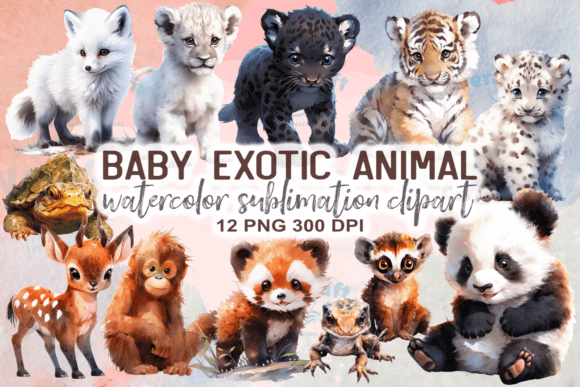 Watercolor Baby Exotic Animals Clipart Freebies Review