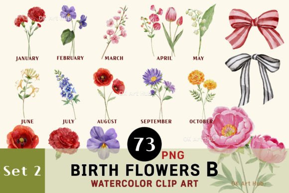 Watercolor Birth Month Flowers Bows Illustrations Review