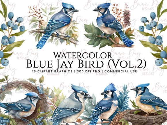 Watercolor Blue Jay Bird Vol.2 Clipart Illustrations