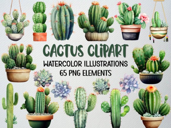 Watercolor Cactus Clipart Set of 65 PNG Illustrations