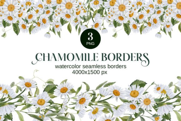Watercolor Chamomile Borders PNG Clipart for Soft, Elegant Branding Illustrations