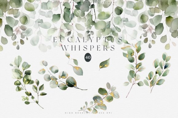 Watercolor Eucalyptus Clipart Set Illustrations Review