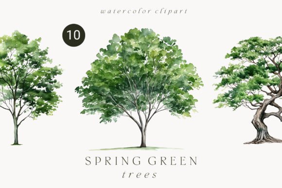 Watercolor Green Tree Forest Clipart: Illustrations That Bring Nature to Digital Content
