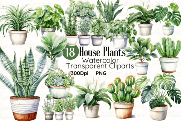 Watercolor House Plants Clipart Bundle: Editorial Illustrations