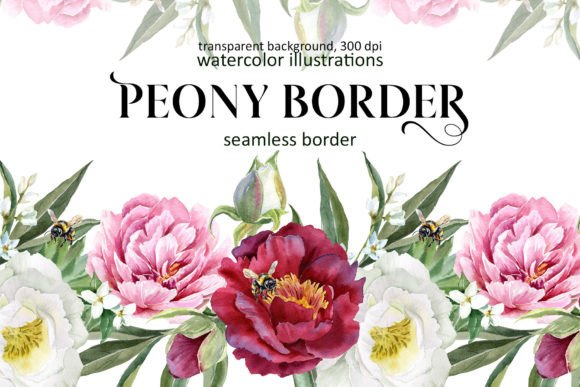 Watercolor Peony Seamless Border PNG: Elegant Illustrations