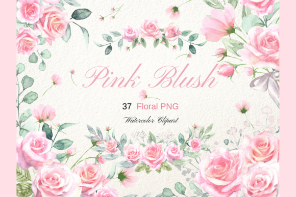 Watercolor Pink Blush Rose Clipart Illustrations