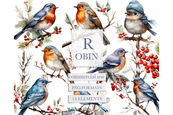 Watercolor Robin Bird Clipart: Editorial Illustrations