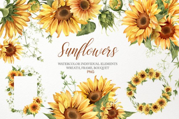 Watercolor Sunflower Clipart Bouquet PNG: A Fresh Illustration for Local Branding