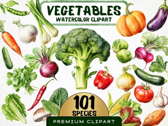 Watercolor Vegetables Illustrations: A Fresh Touch for Local Branding
