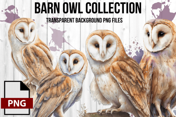 Watercolor Vintage Barn Owl Illustrations Review