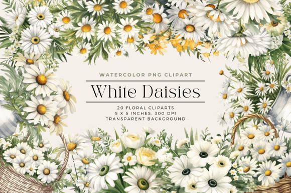 Watercolor White Daisies Illustrations for Crafters