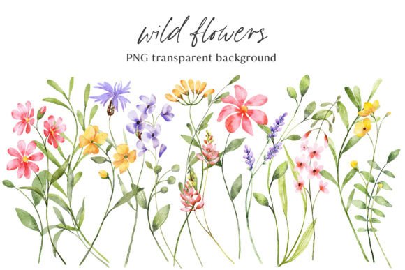 Wild Flowers, Watercolor Clipart, PNG: A Seller’s Practical Review for Etsy, Canva, and Print-on-Demand Use