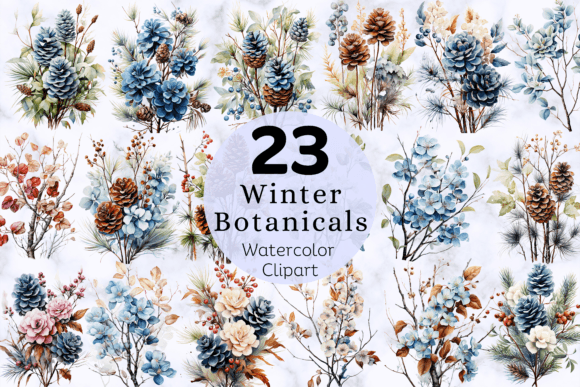 Winter Botanical Watercolor Clipart Illustrations Review